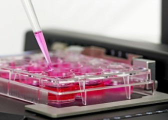 培養(yǎng)基材料