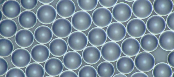 樹脂系微粒子 Micropearl™